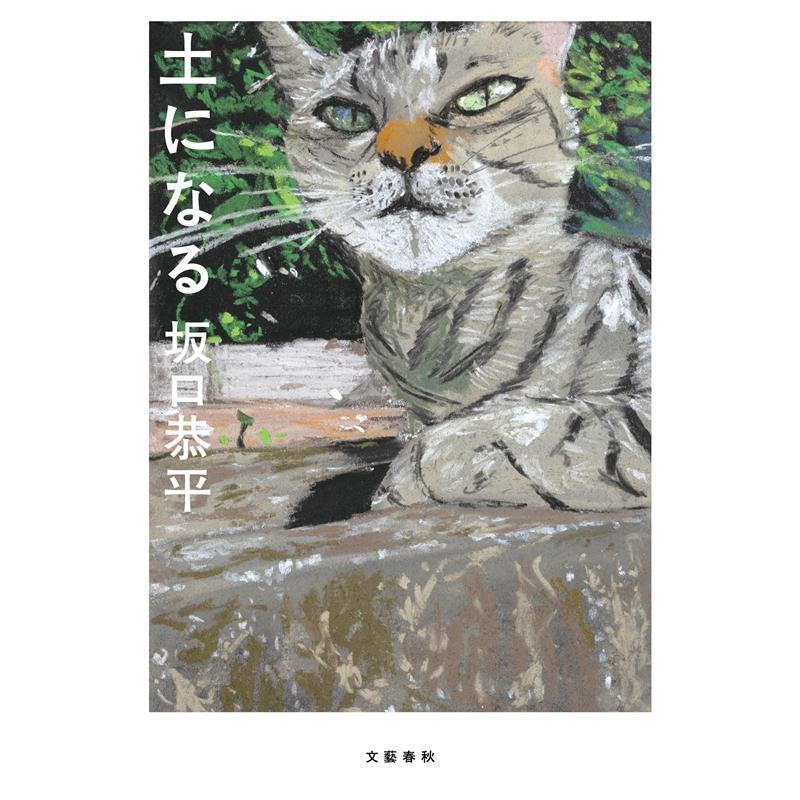 坂口恭平 土になる Book | 
