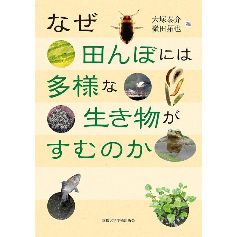 大塚泰介 なぜ田んぼには多様な生き物がすむのか Book | 
