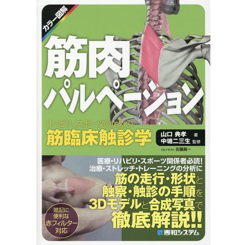 山口典孝 カラー図解筋肉パルペーション リハビリ、スポーツのための筋臨床触診学 Book | 