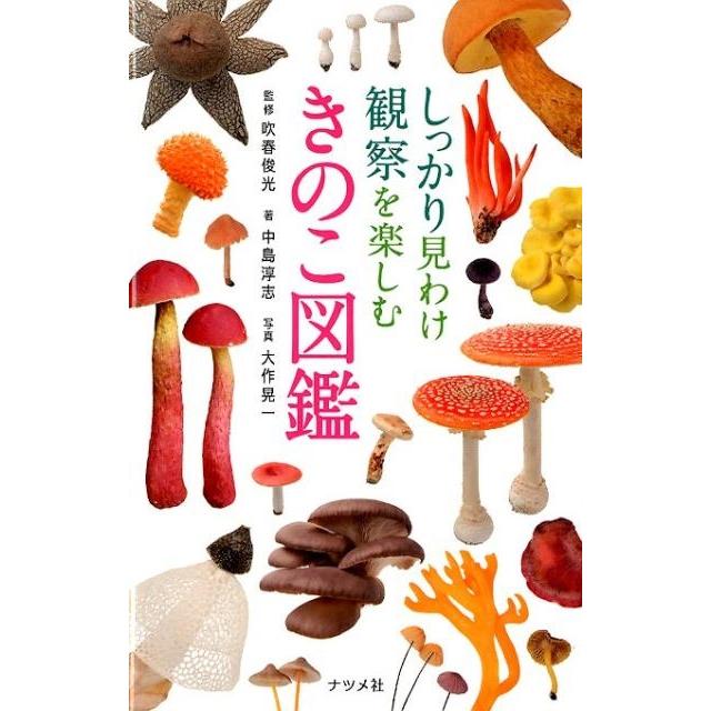 中島淳志 しっかり見わけ観察を楽しむきのこ図鑑 Book | 