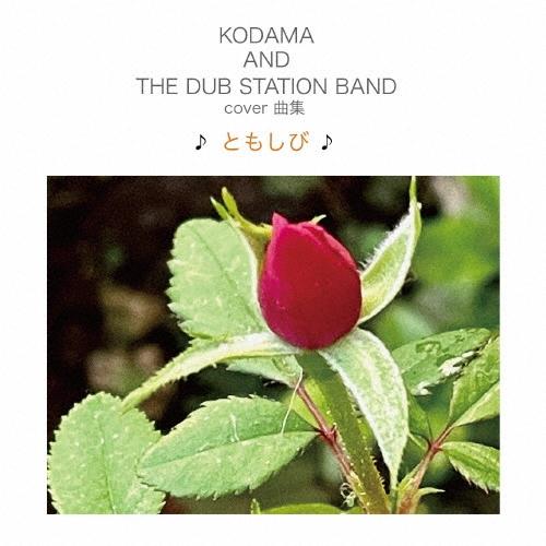 KODAMA AND THE DUB STATION BAND COVER曲集 ♪ともしび♪ CD