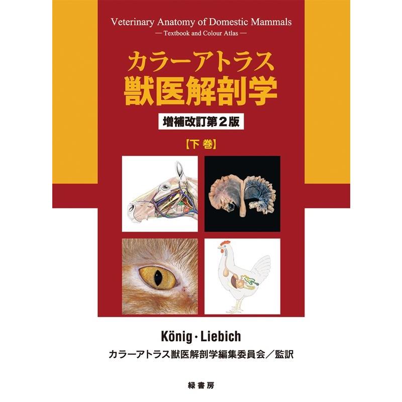 Horst Erich Konig カラーアトラス獣医解剖学 下巻 増補改訂第2版 Book | 