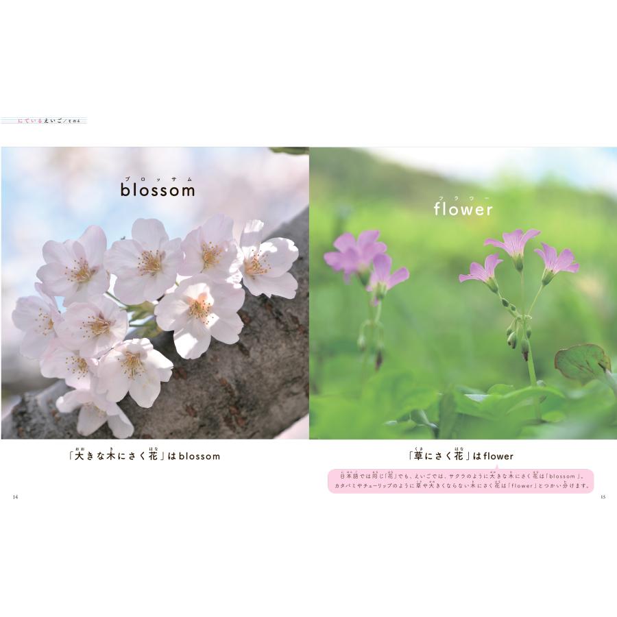 おかべたかし 目でみるえいごのずかん Book |  | 01