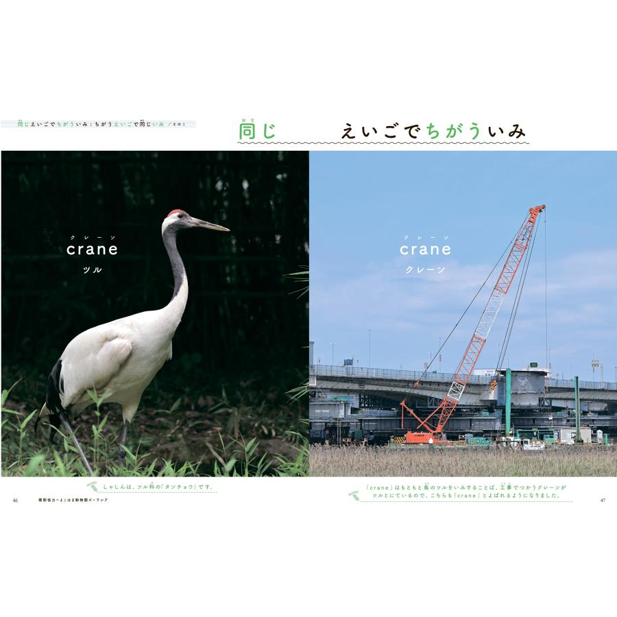 おかべたかし 目でみるえいごのずかん Book |  | 03