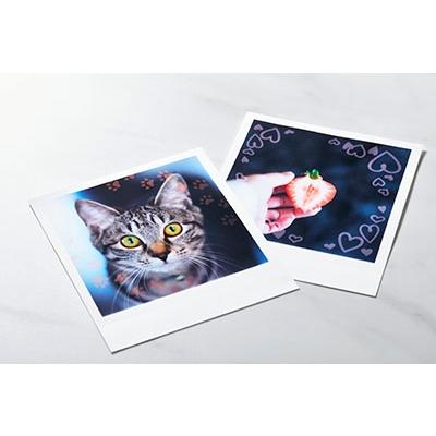 Canon SELPHY カラーインク/ラベルセット XS-20L Accessories |  | 01