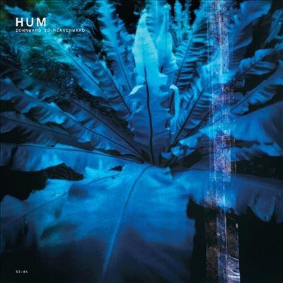 HUM Downword is Heavenward レコード Hum Downward Is Heavenward LP : タワーレコード Yahoo!店 - 通販