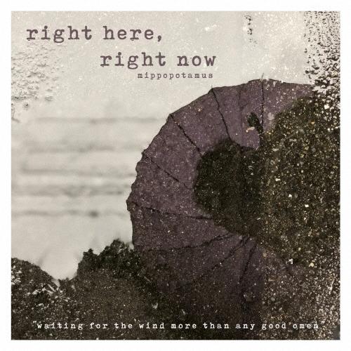 mippopotamus right here, right now CD | 