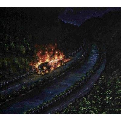 Awakebutstillinbed Chaos Takes The Wheel And I Am A Passenger CD | 