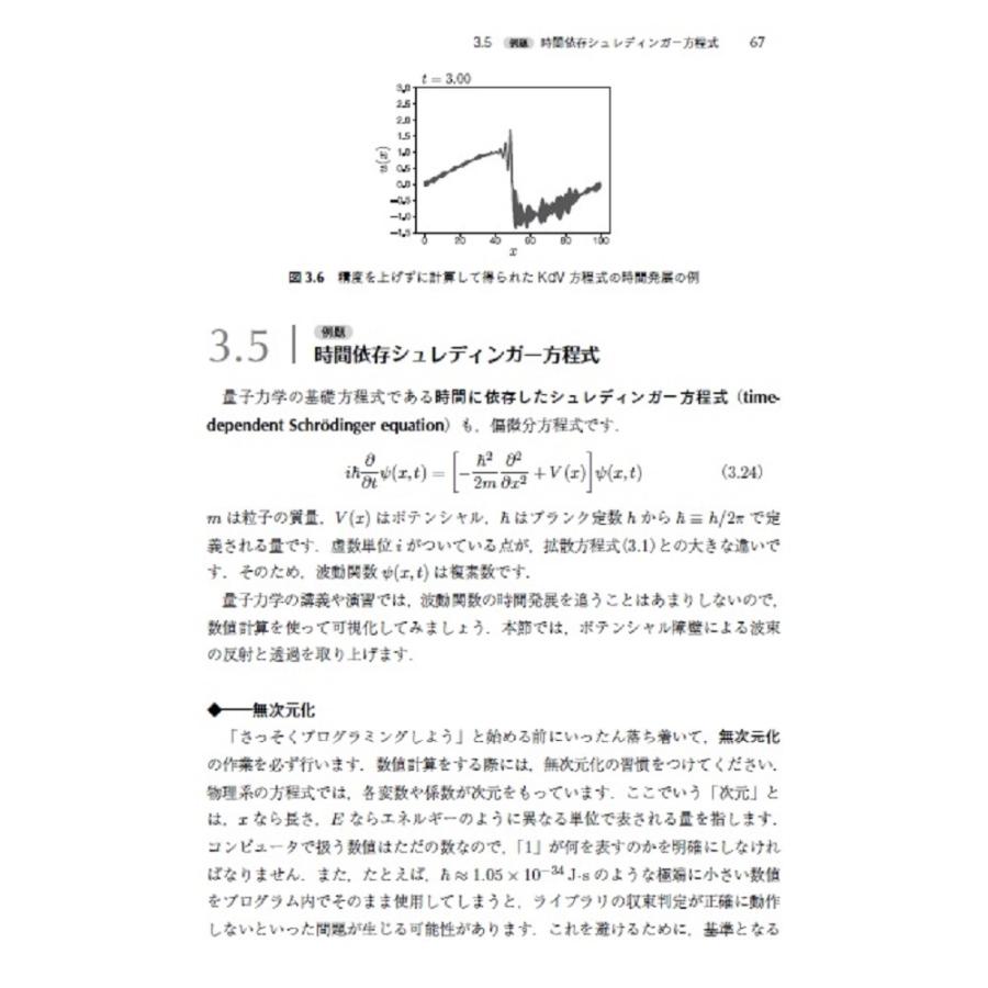 大槻純也 Pythonによる計算物理 Book |  | 04