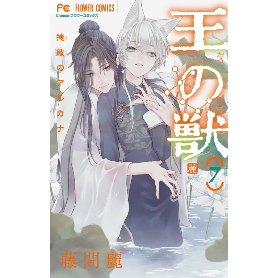 藤間麗 王の獣 (7) COMIC | 