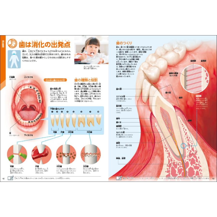 阿部和厚 人体 新版 学研の図鑑LIVE 7 Book |  | 02