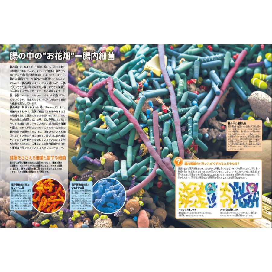 阿部和厚 人体 新版 学研の図鑑LIVE 7 Book |  | 04