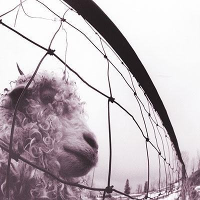Pearl Jam Vs. (30th Anniversary Edition)＜完全生産限定盤/Clear Vinyl＞ LP | 