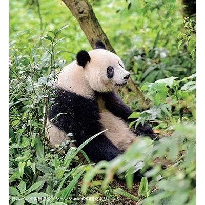 日本パンダ保護協会 シャンシャンの中国だより Book｜tower｜05