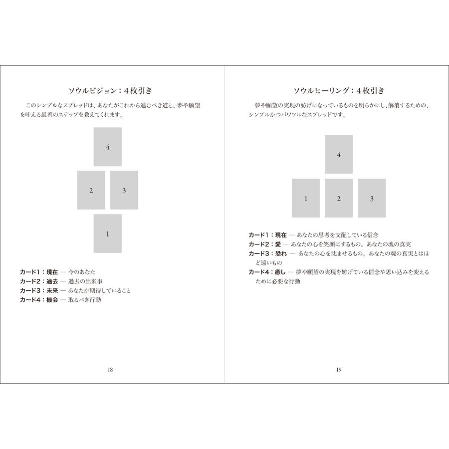 デニース・ジャーヴィ ザ・シークレット・ランゲージ・オブ・ライト あなたの魂からのメッセージ Book |  | 04