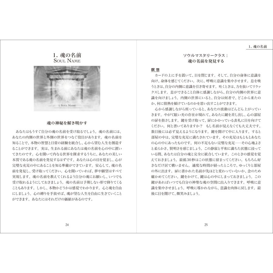 デニース・ジャーヴィ ザ・シークレット・ランゲージ・オブ・ライト あなたの魂からのメッセージ Book |  | 05
