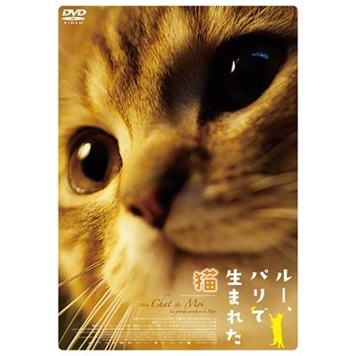 ルー、パリで生まれた猫 DVD |  | 01