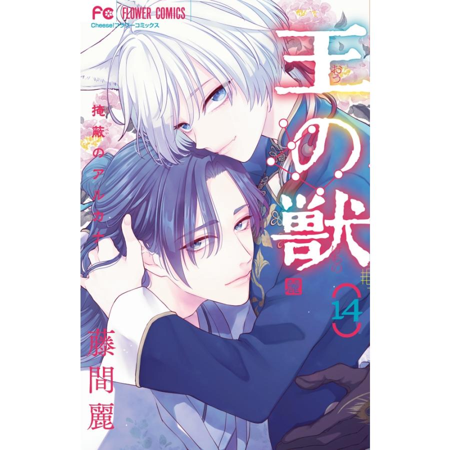 藤間麗 王の獣 (14) 掩蔽のアルカナ COMIC | 