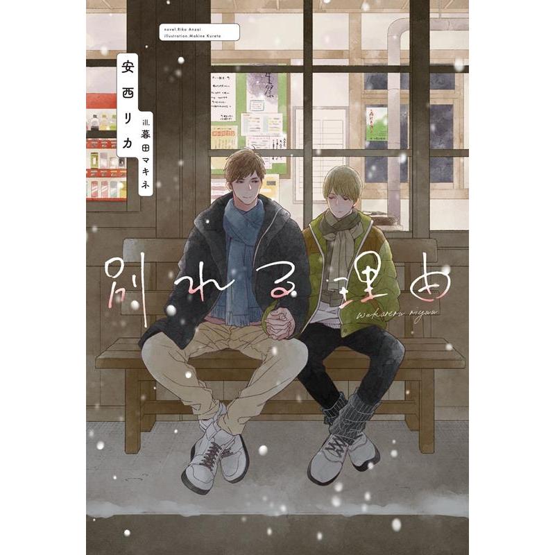 安西リカ 別れる理由 新書館ディアプラス文庫 592 Book | 