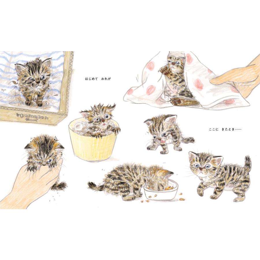 大森裕子 わすれていいから Book |  | 03