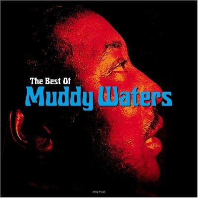 Muddy Waters The Best Of LP : タワーレコード Yahoo!店 - 通販