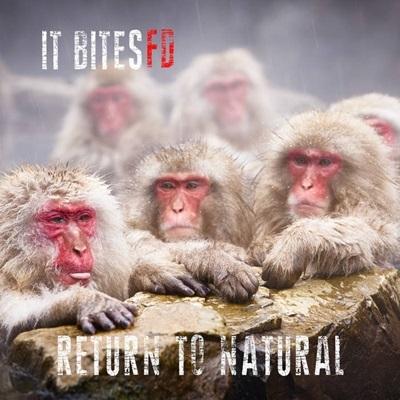 It Bites FD Return To Natural＜初回限定盤＞ CD（Yahoo!・タワーレコード Yahoo!店）