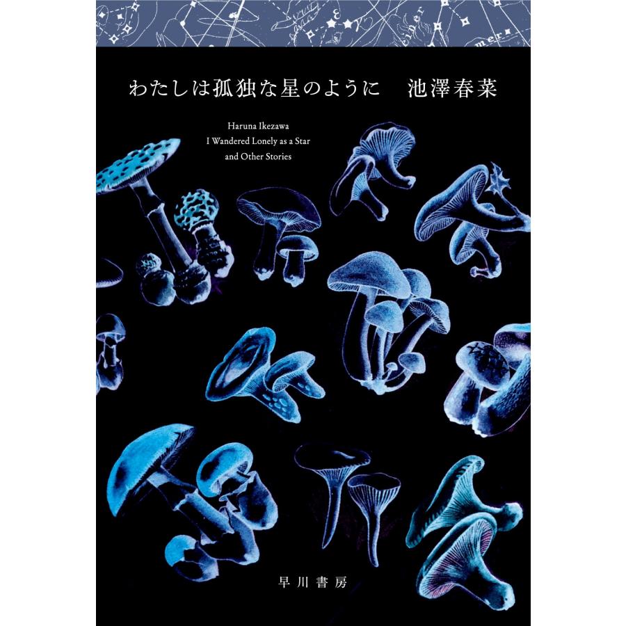 池澤春菜 わたしは孤独な星のように Book | 