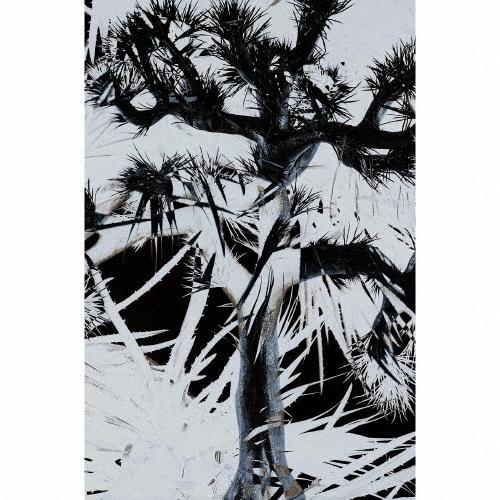 Plastic Tree/完全生産限定盤 Plastic Tree ［CD+DVD+BOOK］＜完全生産限定盤＞ CD : タワーレコード
