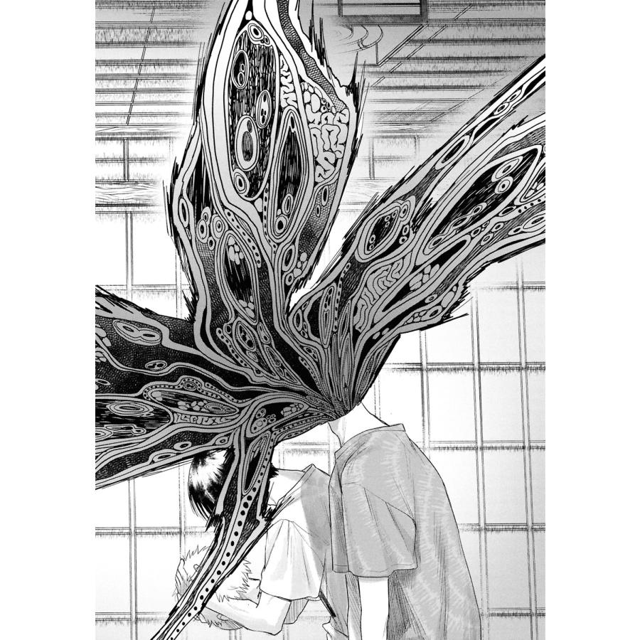 モクモクれん 光が死んだ夏 5 COMIC |  | 02
