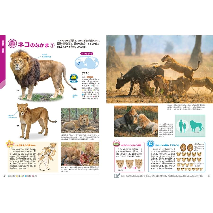 姉崎智子 動物 新版 Book |  | 01