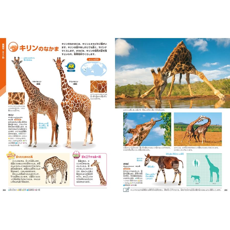 姉崎智子 動物 新版 Book |  | 02