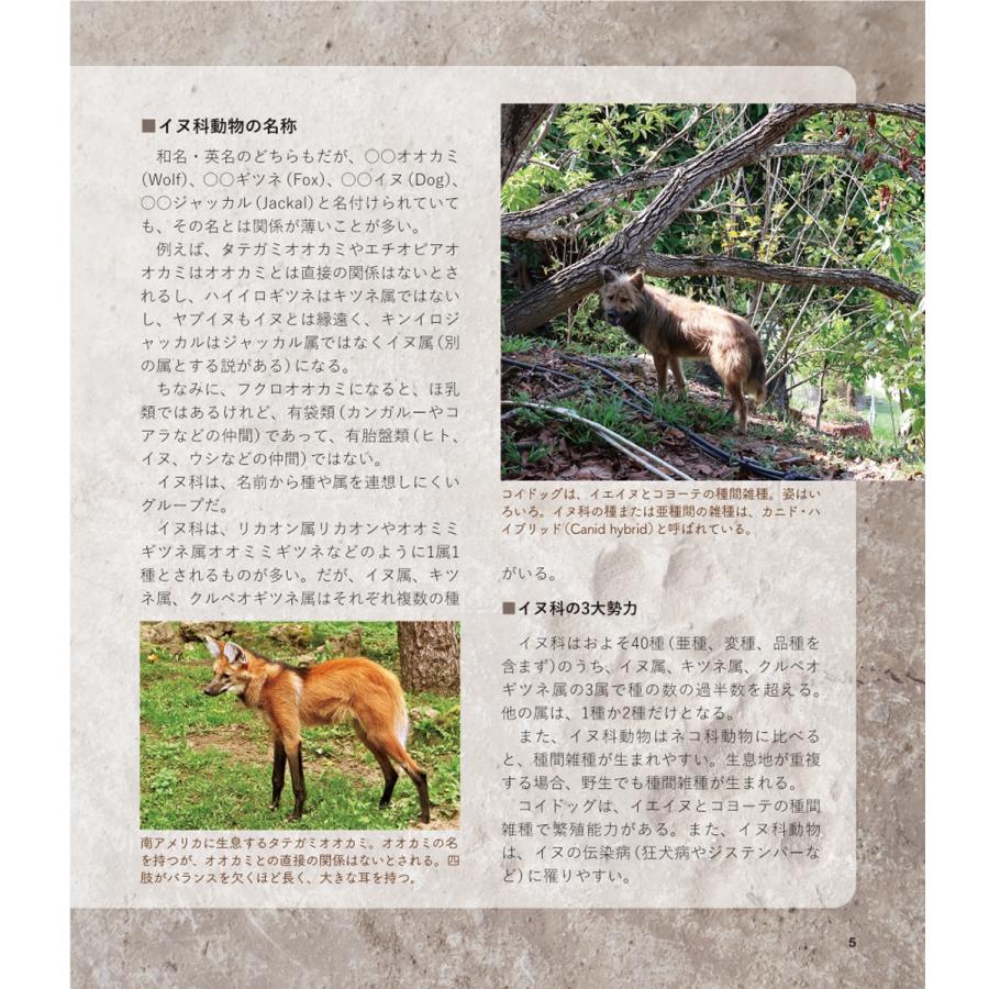 今泉忠明 世界の野生イヌ Book |  | 02