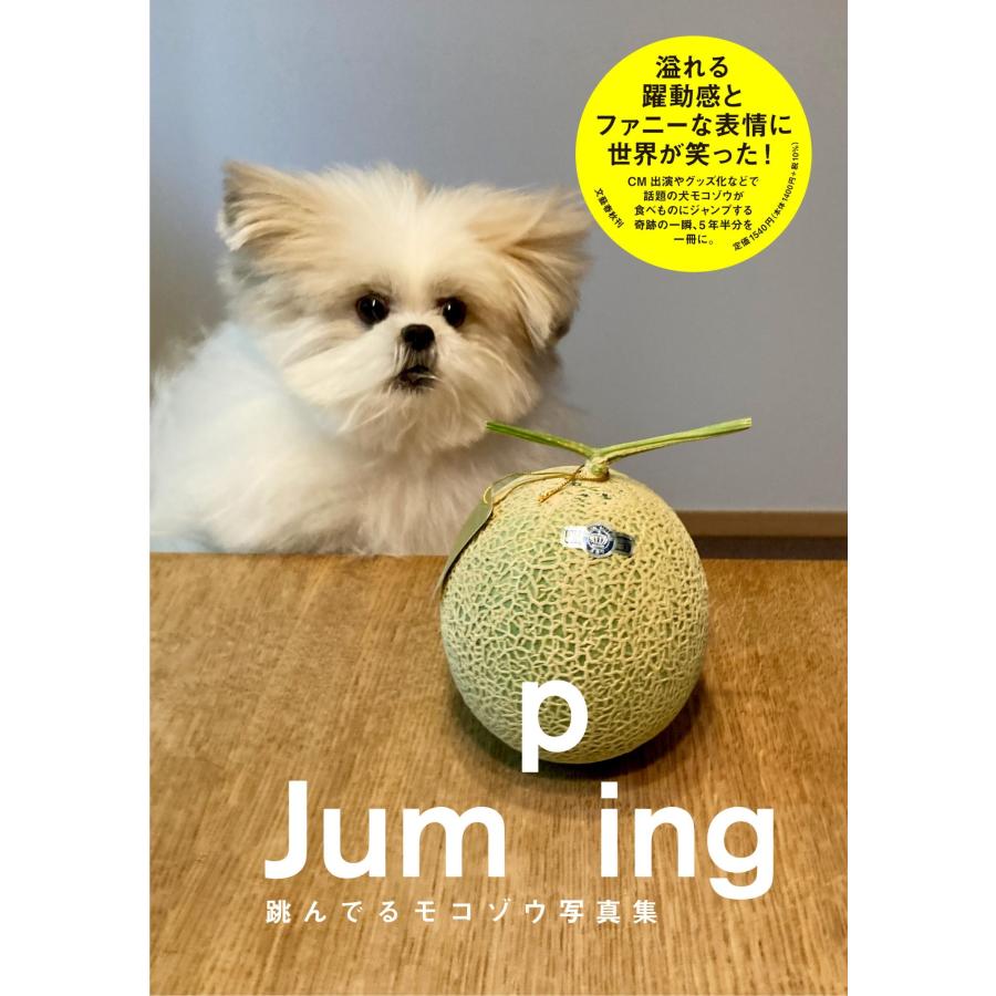 モコゾウ Jumping 跳んでるモコゾウ写真集 Book | 