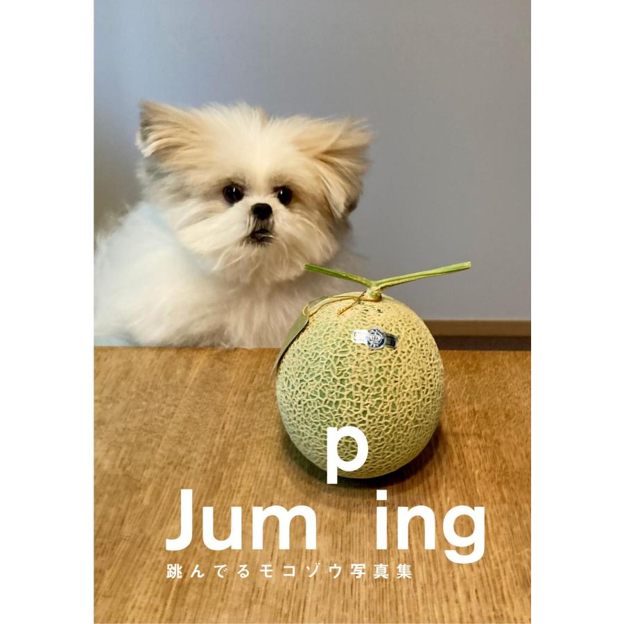 モコゾウ Jumping 跳んでるモコゾウ写真集 Book |  | 01
