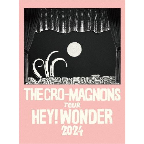 最終値下げ美品ザ・クロマニヨンズ ライブツアーDVDセット(通常盤) ザ・クロマニヨンズ ツアー HEY! WONDER 2024＜通常盤＞ DVD