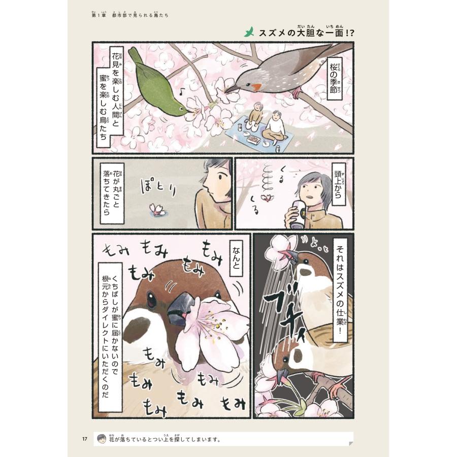 piro piro piccolo 意外と知らない鳥の生活 Book |  | 02