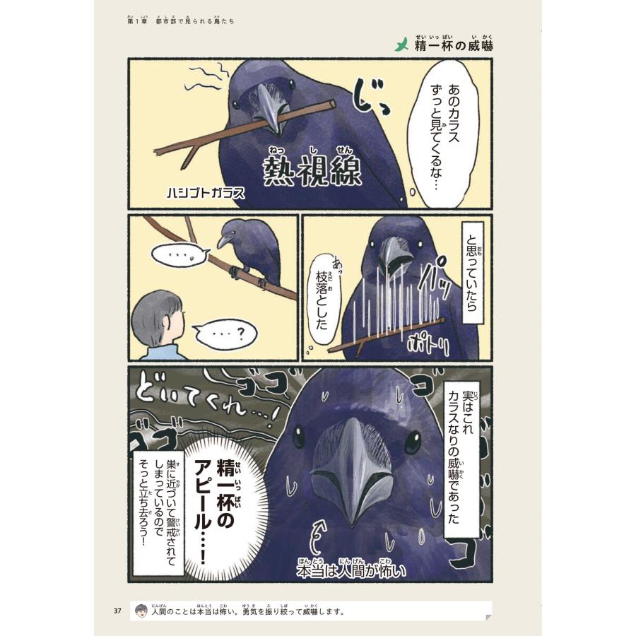 piro piro piccolo 意外と知らない鳥の生活 Book |  | 03