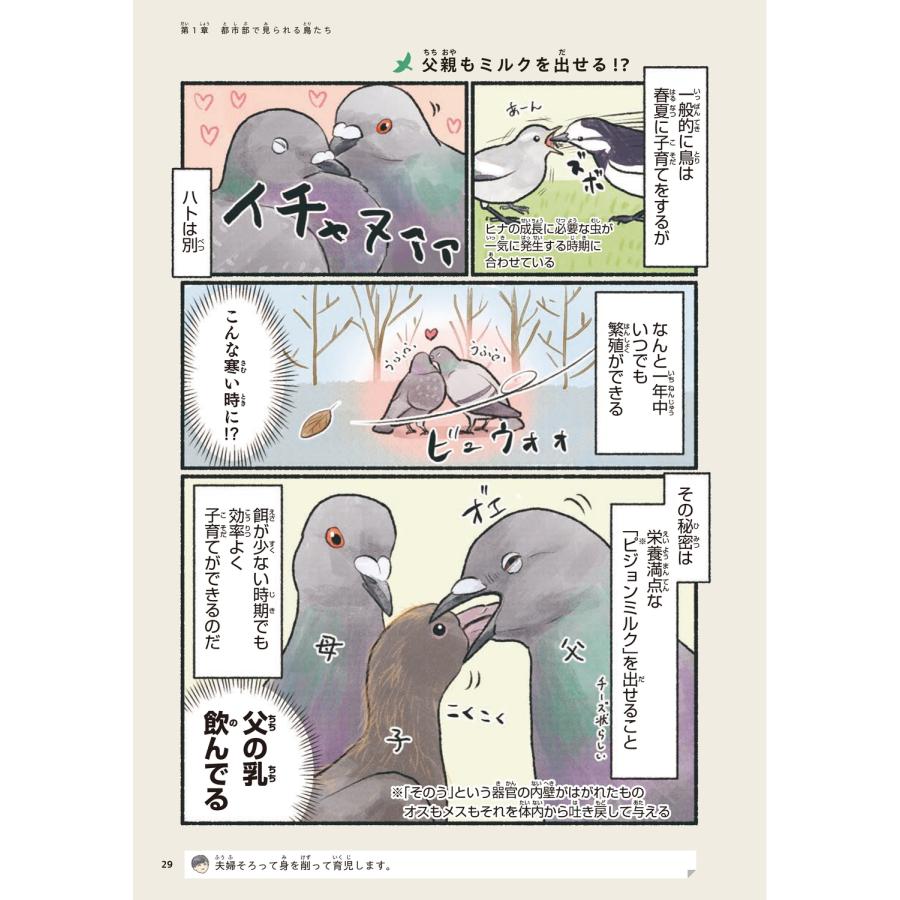 piro piro piccolo 意外と知らない鳥の生活 Book |  | 04