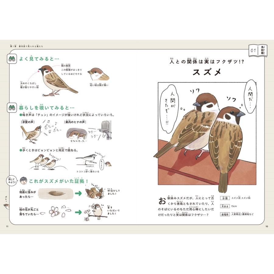 piro piro piccolo 意外と知らない鳥の生活 Book |  | 05
