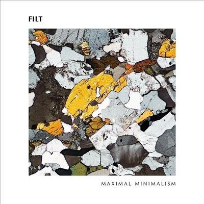 Filt Maximal Minimalism LP | 