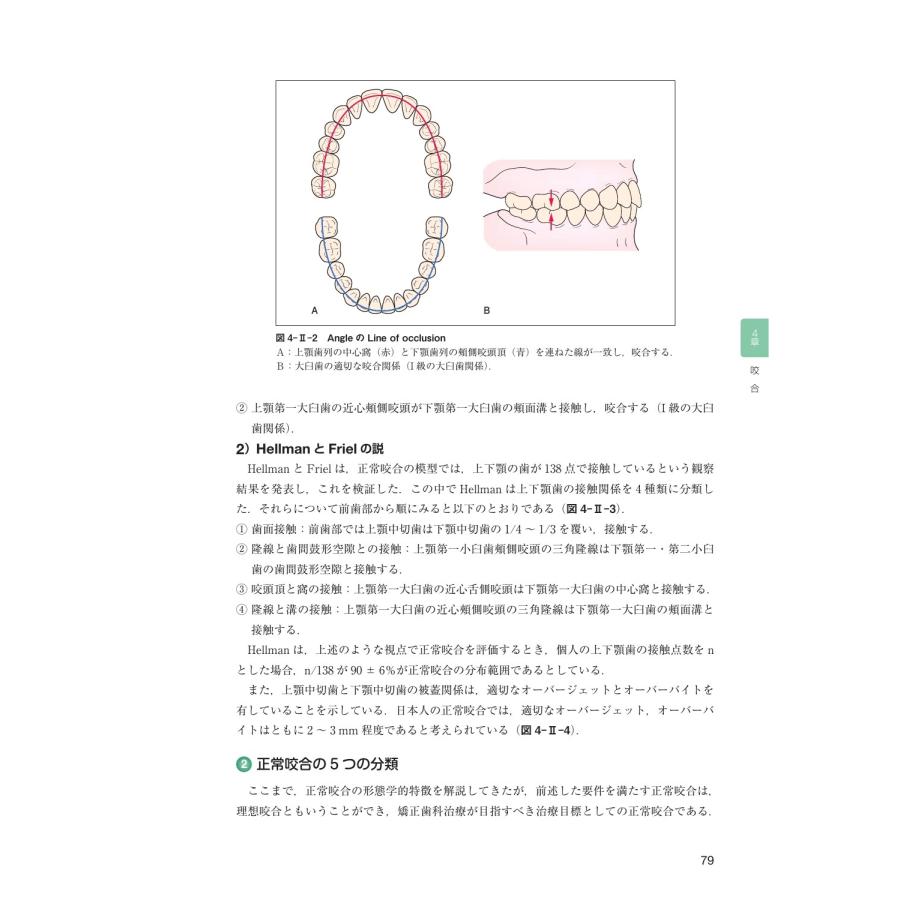 後藤滋巳 歯科矯正学 第7版 Book : タワーレコード Yahoo!店 - 通販