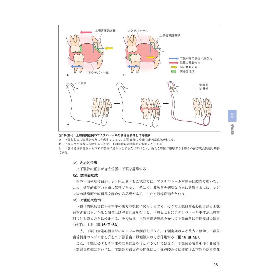 後藤滋巳 歯科矯正学 第7版 Book : タワーレコード Yahoo!店 - 通販