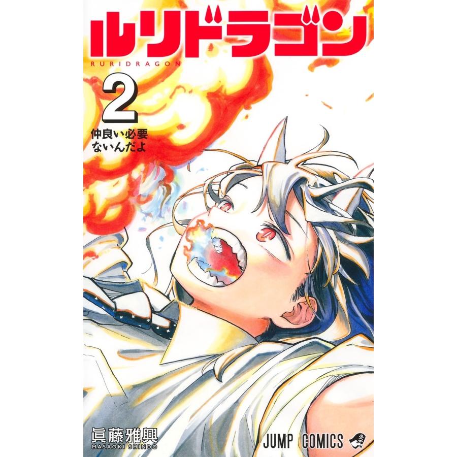 眞藤雅興 ルリドラゴン 2 COMIC | 