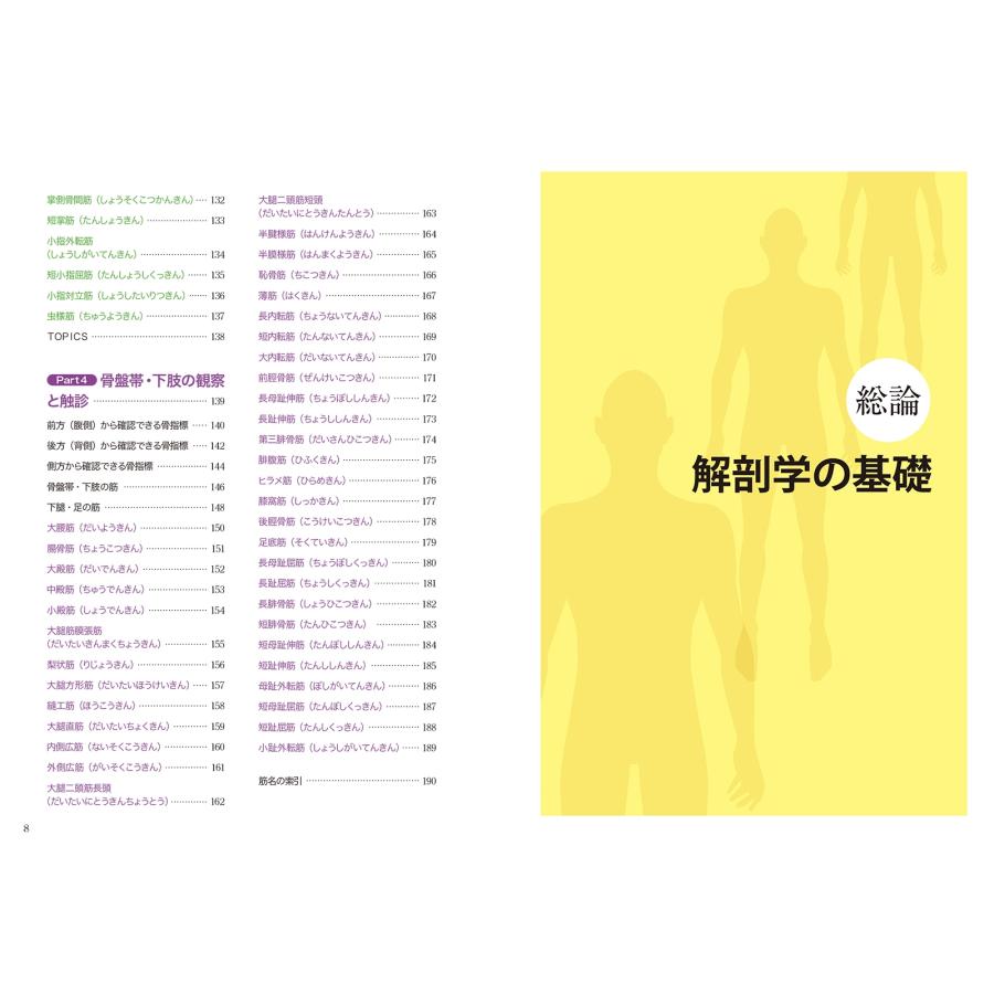 藤縄理 運動・からだ図解 筋と骨格の触診術の基本 新版 Book |  | 03