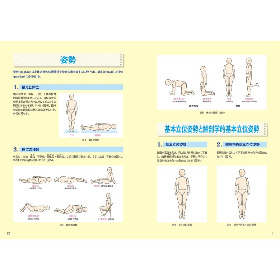 藤縄理 運動・からだ図解 筋と骨格の触診術の基本 新版 Book |  | 05