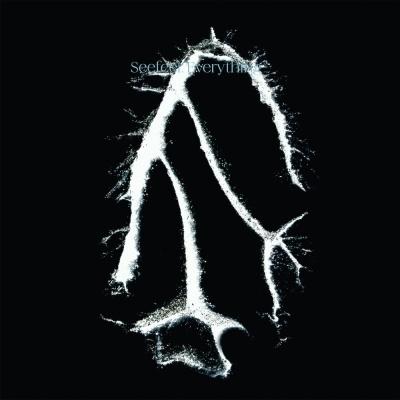Seefeel Everything Squared CD | 