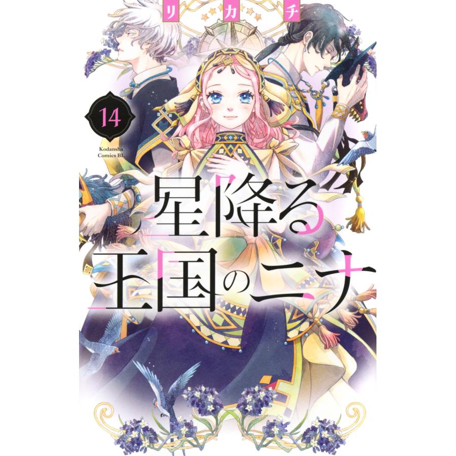 リカチ 星降る王国のニナ(14) COMIC | 
