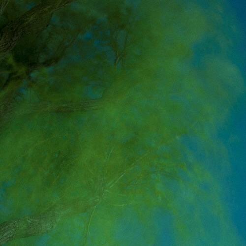 Hiroshi Ebina Into the Darkness of the Night CD | 