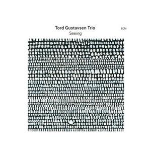 Tord Gustavsen Trio Seeing＜限定盤＞ LP | 