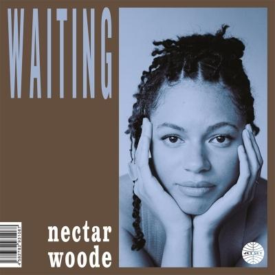 Nectar Woode Waiting / For The Best 7inch Single | 